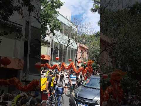 La Ciudad de Bs as celebra la llegada del Año del Caballo de Fuego, en el marco del Año Nuevo chino