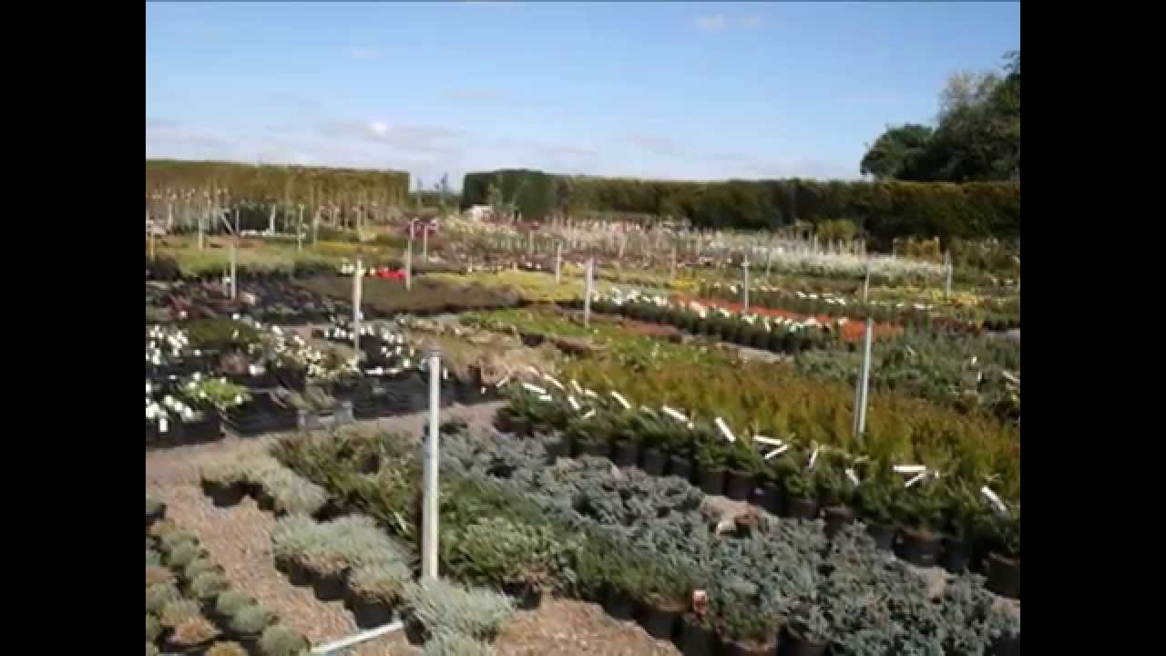 Company video ARTHUR'S NURSERIES