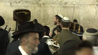 הקפות שניות עם למעלה מ100 ספרי תורה בכותל המערבי