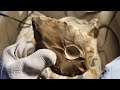 1278 Flintknapping Odd Shaped High Quality Nodule