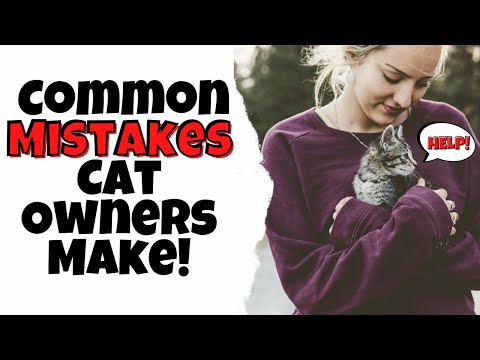 Common Mistakes Cat Owners Make (and How to Prevent Them)