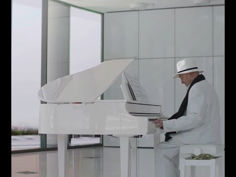 Montenegro star - Born to fly