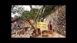 preview picture of video 'Di tích Nhà tù SơnLa (cả cây đào Tô Hiệu và cây đa bản Hẹo) 11-2012'
