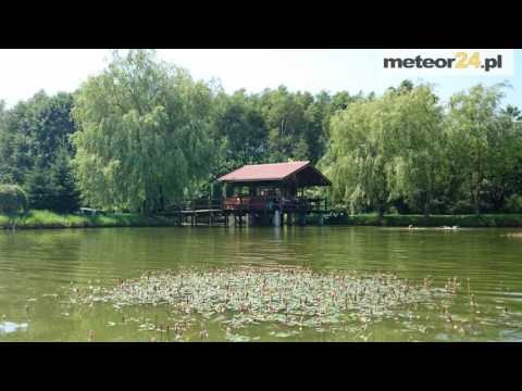 Agroturystyka Ostoja - Wielowieś meteor24.pl