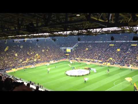 BVB - Wolfsburg 30.04.2016