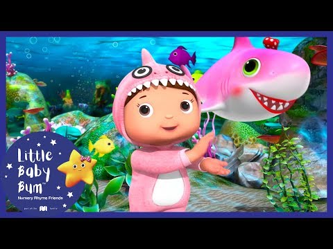 download lagu mp3 mp4 Baby Boogie, download lagu Baby Boogie gratis, unduh video klip Baby Boogie