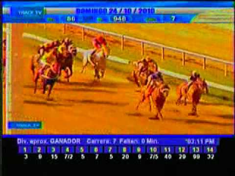 Resumen Domingo, 24 de Octubre de 2010 - La Rinconada