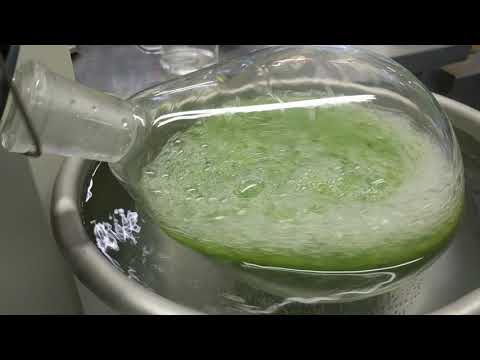 CDC - rotovapor cucumber extraction