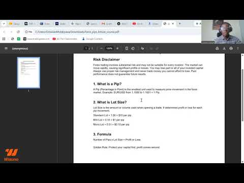 Preview: Understanding PIPS and LOT SIZE