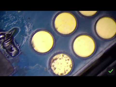 LG Velvet DATA Recovery after Liquid Spill. Charging Stopped. Temperature too high or low Repair.