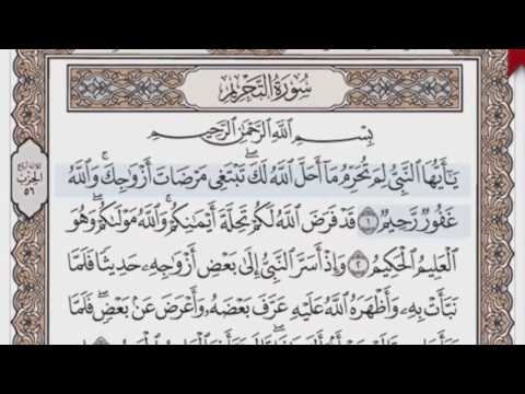 القرآن الكريم بالصفحات صوت وصورة ص/ 560 الشيخ محمود خليل الحصري بمد المنفصل