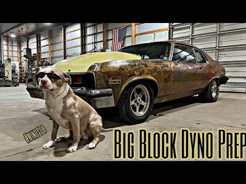 Fools Gold on a Radial? Nitrous Big Block Nova Dyno Prep