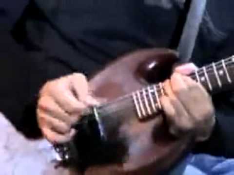 Michmash -hello le monde.wmv