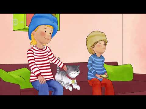 Bori barátnőm - Bori és a fejtetű