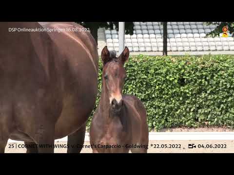 25 Cornet's Carpaccio RT   Goldwing