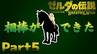 【BotW】自由！！ゼルダの伝説ブレスオブザワイルドPart5【実況】