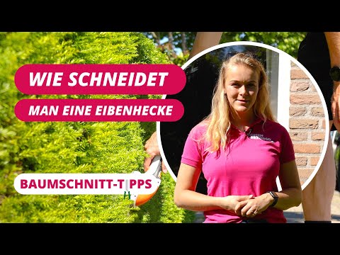 Wie schneidet man einen Eibenhecken ? | BaumSchnitt-Tipps #6
