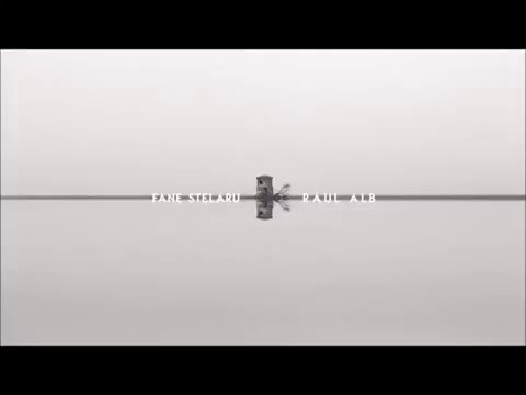 2. Fane Stelaru  - Plimbarea de seara