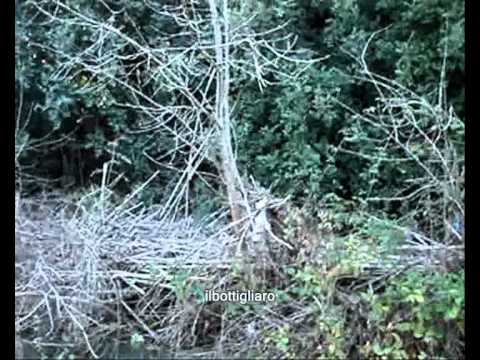 Gonnostramatza - Riu Mannu _ La denuncia del Sindaco Alessio Mandis