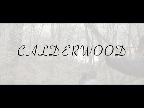 M.H. & His Orchestra // Calderwood (Official Video)