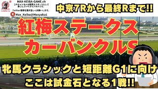 紅梅ステークス カーバンクルステークス 中京7Rから実況配信