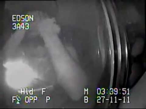 (synced w/music)Queen ft. Robert Wilkinson - drunk Bohemian Rhapsody