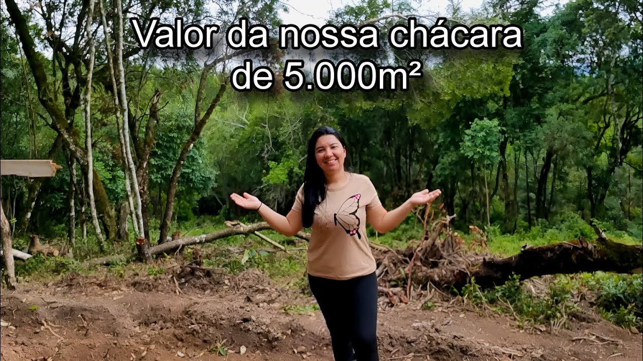 Como compramos nossa chácara // Nossa história #vivendonositio #vidanaroça