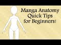 Manga Anatomy Quick Tips For Beginners
