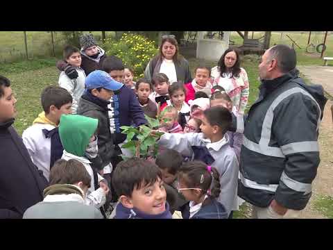 Plantación de árboles frutales en Escuela Rural nº 78 Tala