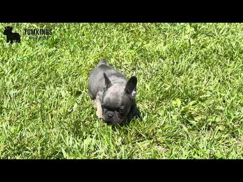 Video 1