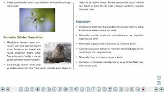 Eğitim Vadisi 9.Sınıf Biyoloji 2.Föy Canlıların Yapısında Bulunan Temel Bileşikler Konu Anlatım Videoları