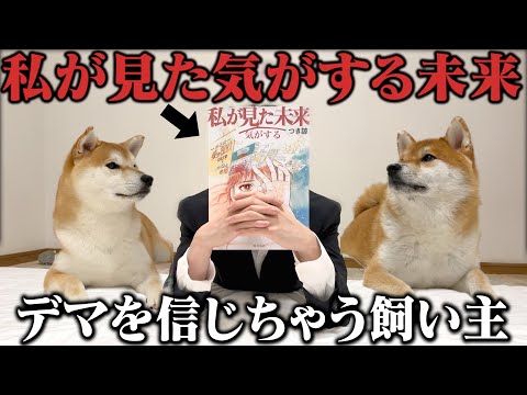 【私が見た気がする未来】7月5日の予言を信じすぎてる飼い主に振り回される柴犬こまちゃん。