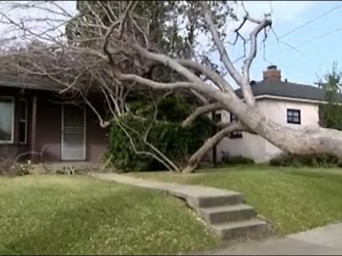 Hurricane force winds sweep through Calif.