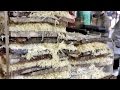 London Street Food. Huge Cheese Sandwiches at Camden Town and Borough Market