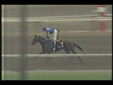 Mister Frisky Santa Anita Derby 1990 - 16 wins in a row