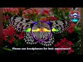Kelade Nimageega Silky 8d Music