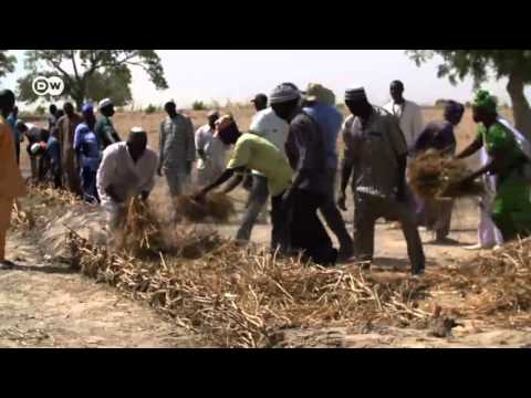 Hilfe für Senegals Boden | Wirtschaft