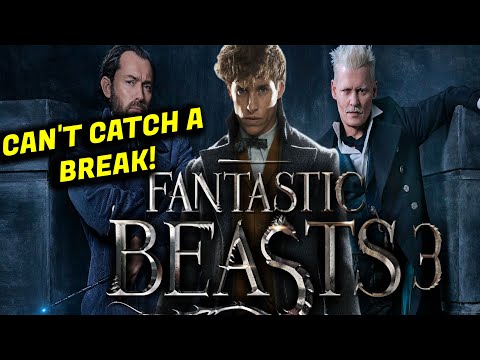 Fantastic Beasts 3 Production SHUTS DOWN From Positive Covid Test