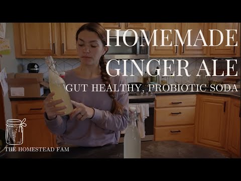 Ditch the store-bought ginger ale and make your own right at home! Ginger bug recipe.