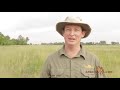 African Guide Academy Presents Game Drive Techniques