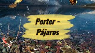 Porter - Pájaros