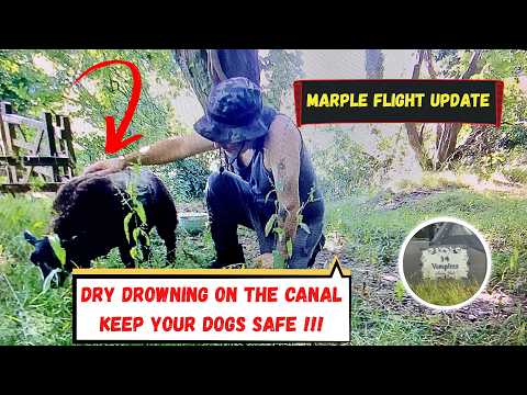 Life on a Narrowboat: Unexpected Canal Dangers, Dog Safety & Marple Lock Flight