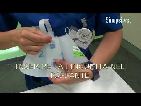 TUTORIAL: COME MONTARE UN COLLARE ELISABETTA BUSTER
