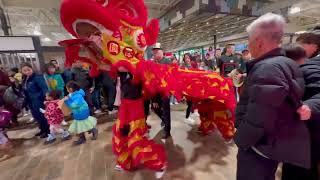 Chinese Dragon Dance 2024| #canada #alberta #calgary