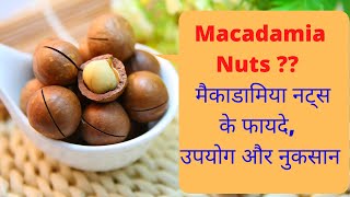 macadamia nuts in hindi | macadamia nuts ke fayde | macadamia nuts Kya hota hai