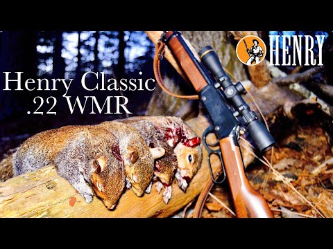 Henry “Classic” Lever Action 22 Magnum SQUIRREL Hunt! (22 WMR 22MAG)