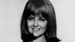 Shelley Fabares   Johnny Angel