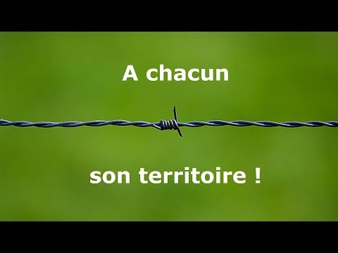 Maux croisés - A chacun son territoire!