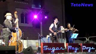Sugar Ray Dogs in concerto in Piazza Vittoria a Pavia