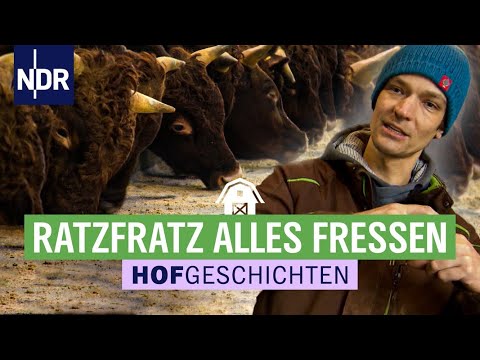 , title : 'Frühstück für die Rinder, wenn der Futtertisch gereinigt ist | Hofgeschichten: Leben auf dem Land (2'